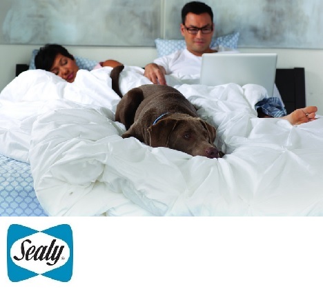 Sealy bed,matras,boxspring,katoen,pocketveren,nachtrust,amerikaans slaapcomfort,leefruimte,hond,laptop in bed,Texas,groot,hybrid matras,gel,hd,solid,traagschuim, hoogte 34 cm,theo bot